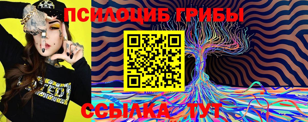 Псков  Галлюциногенные грибы мухоморы  Вход с VPN 