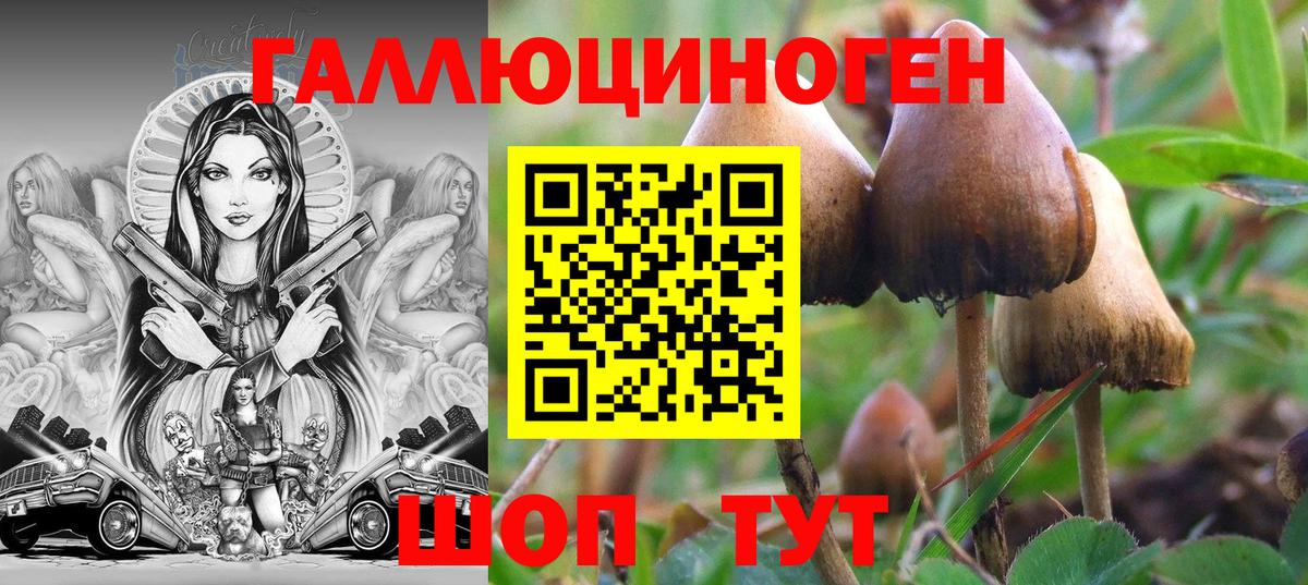 Галлюциногенные грибы Cubensis Псков